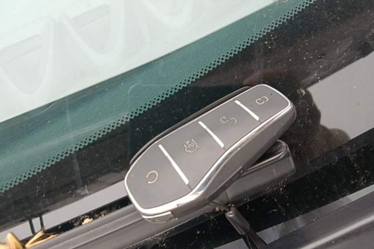 Used BYD Dolphin 2023 420 km Free Version Vehicle Key