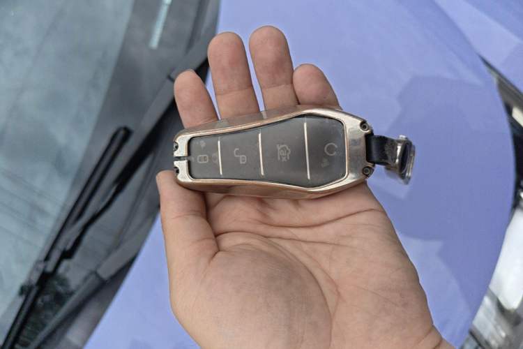 Used BYD Dolphin 2023 420 km Fashion Edition Vehicle Key