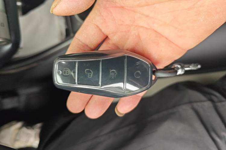 Used BYD Dolphin 2023 420 km Free Version Vehicle Key