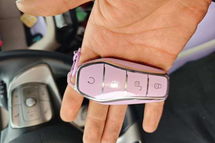 Used BYD Dolphin 2023 420 km Fashion Edition Vehicle Key