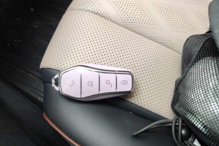 Used BYD Dolphin 2023 420 km Fashion Edition Vehicle Key