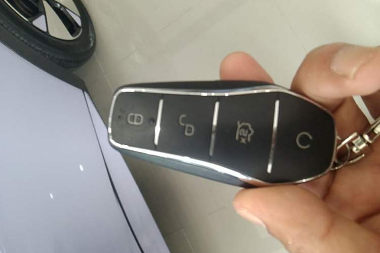 Used BYD Dolphin 2023 420 km Free Version Vehicle Key