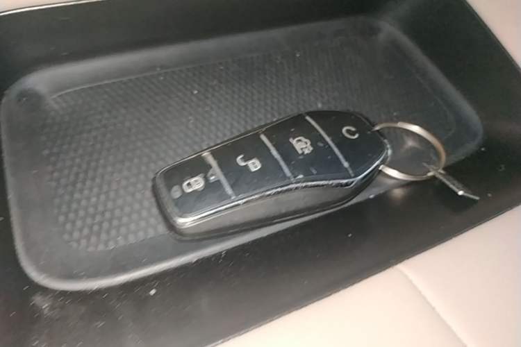 Used BYD Dolphin 2023 420 km Fashion Edition Vehicle Key