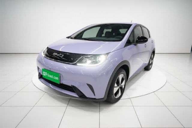 Ojetý BYD Dolphin 2023 420 km Free Version