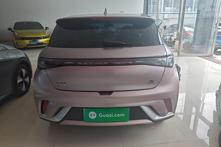 Used BYD Dolphin 2023 420 km Fashion Edition Rear