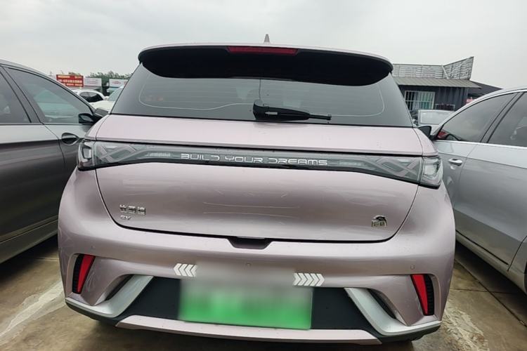 Used BYD Dolphin 2023 420 km Fashion Edition Rear