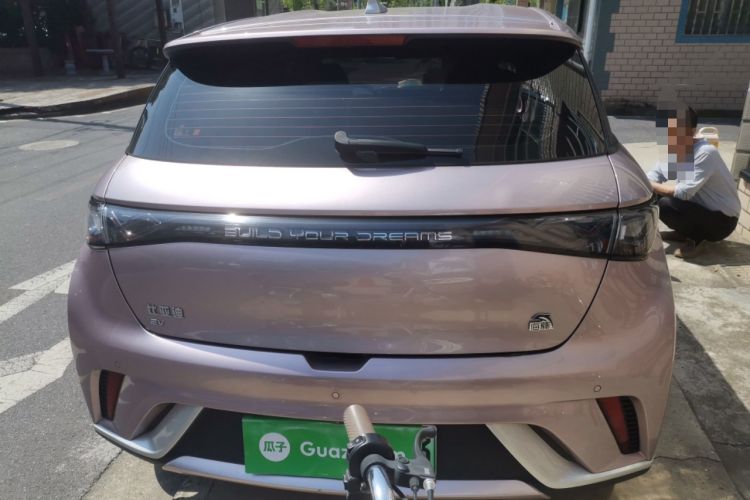 Used BYD Dolphin 2023 420 km Free Version Rear
