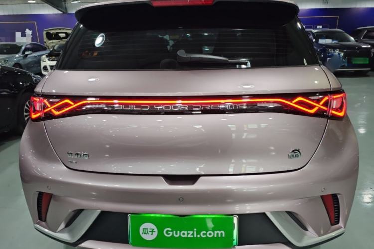 Used BYD Dolphin 2023 420 km Fashion Edition Rear
