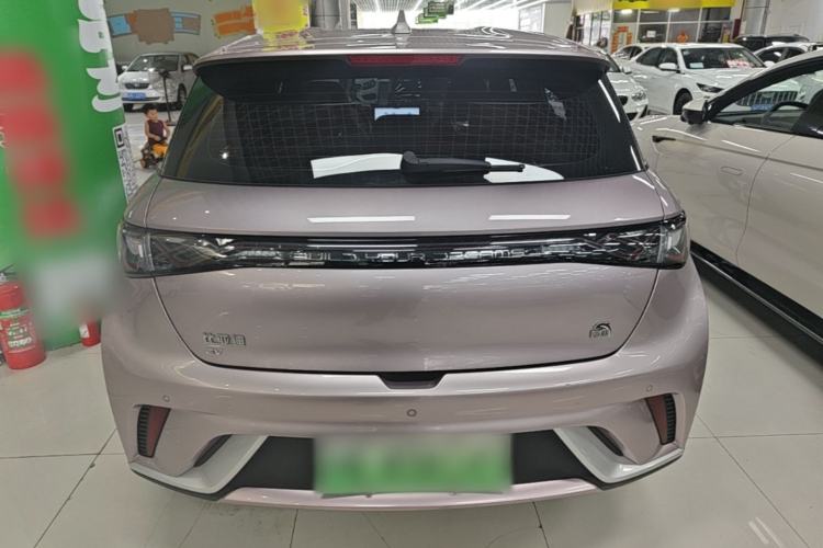 Used BYD Dolphin 2023 420 km Free Version Rear
