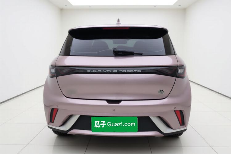 Used BYD Dolphin 2023 420 km Fashion Edition Rear