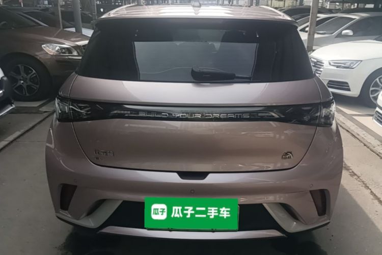 Used BYD Dolphin 2023 420 km Fashion Edition Rear