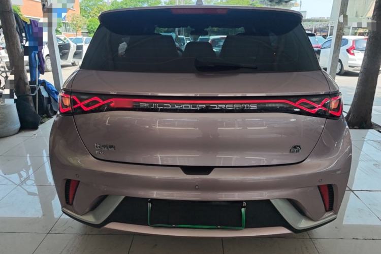 Used BYD Dolphin 2023 420 km Fashion Edition Rear