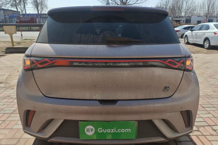 Used BYD Dolphin 2023 420 km Free Version Rear