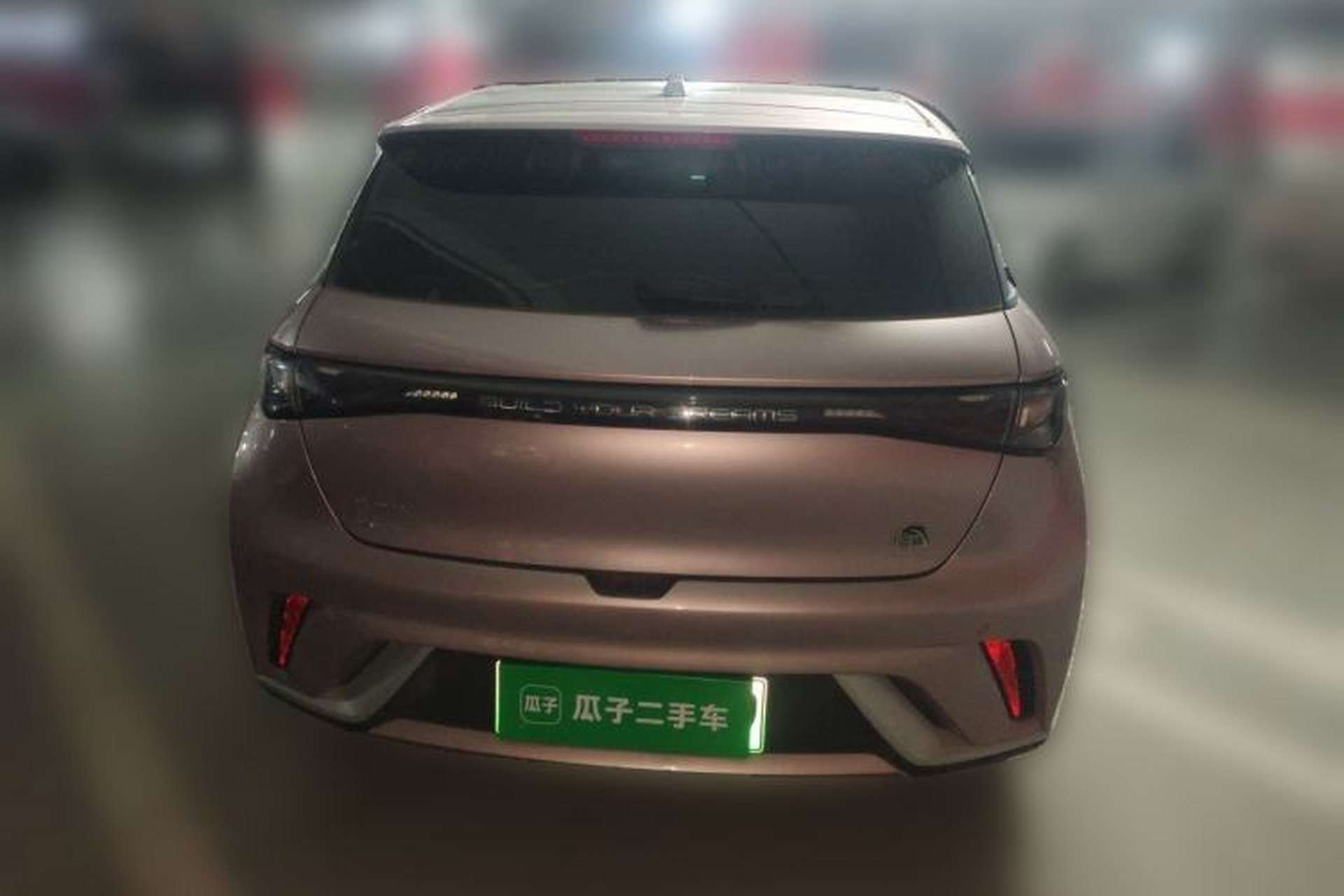 Used BYD Dolphin 2023 420 km Fashion Edition Rear
