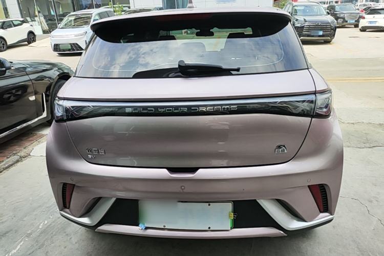 Used BYD Dolphin 2023 420 km Fashion Edition Rear