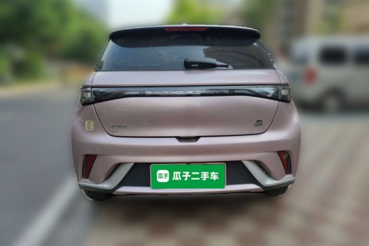 Used BYD Dolphin 2023 420 km Free Version Rear