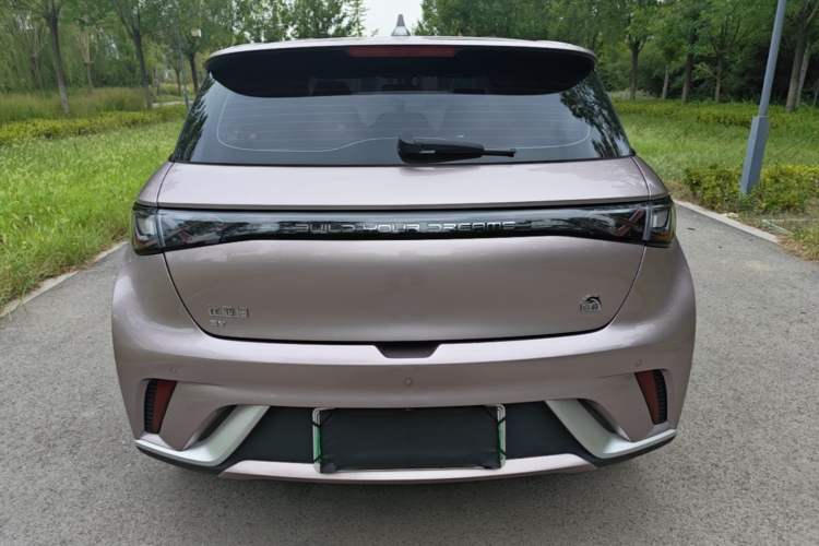 Used BYD Dolphin 2023 420 km Fashion Edition Rear