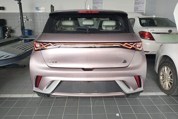 Used BYD Dolphin 2023 420 km Fashion Edition Rear
