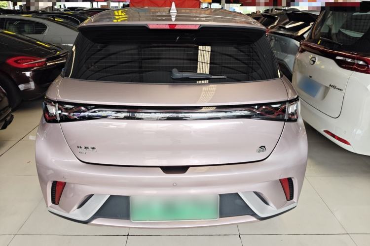 Used BYD Dolphin 2023 420 km Free Version Rear