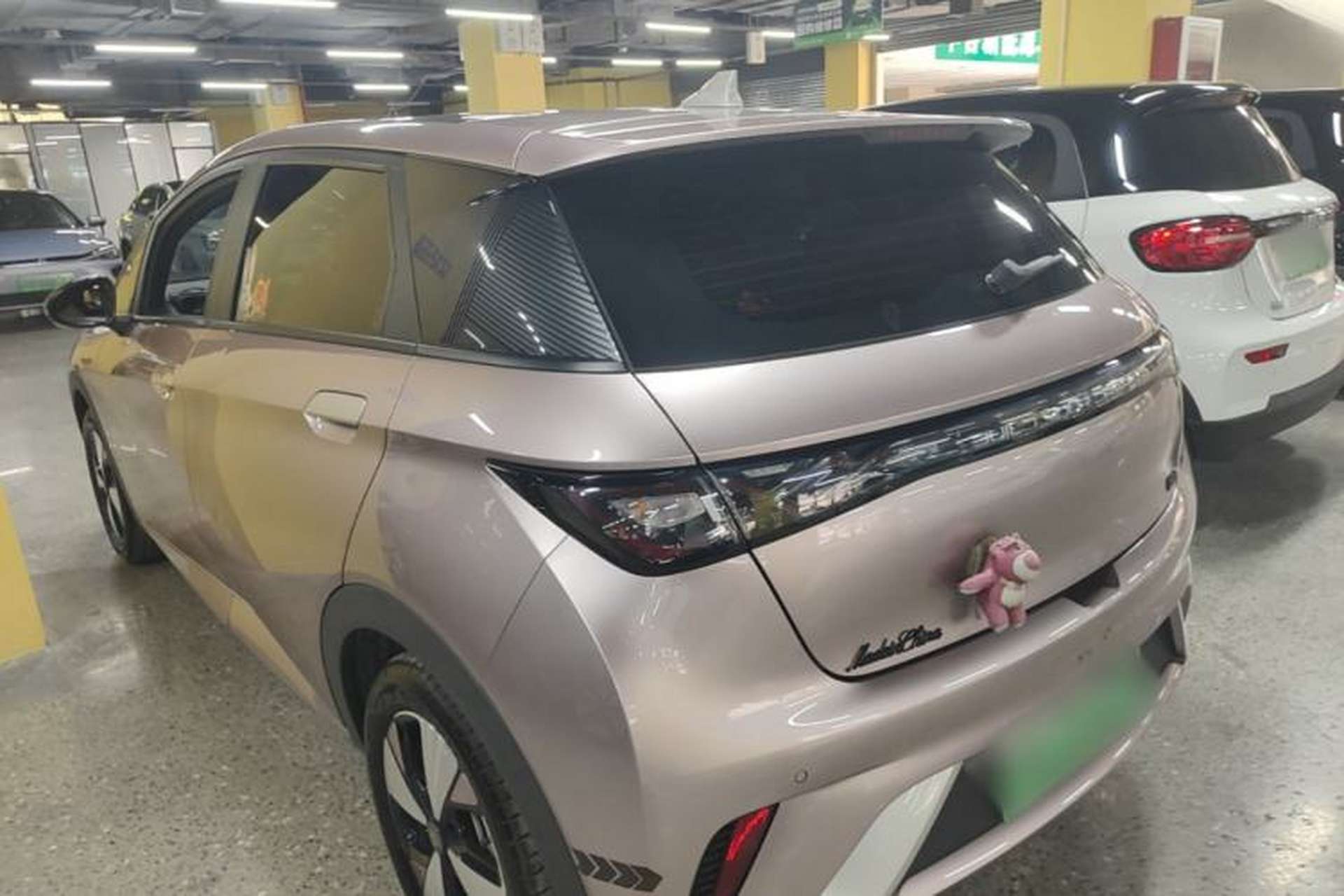 Used BYD Dolphin 2023 420 km Fashion Edition Rear Left 45 Deg