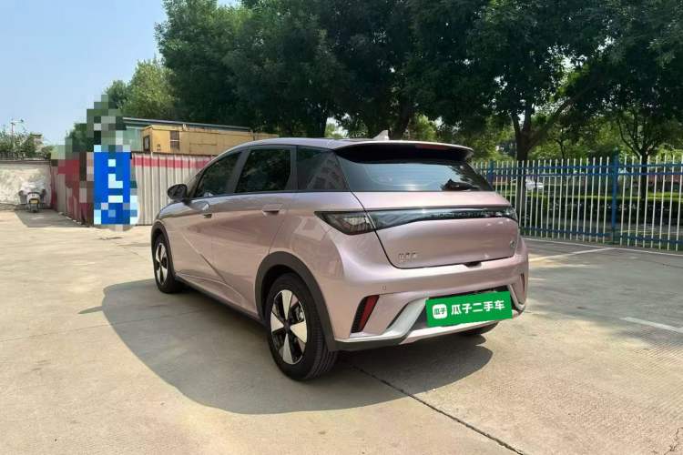 Used BYD Dolphin 2023 420 km Fashion Edition Rear Left 45 Deg