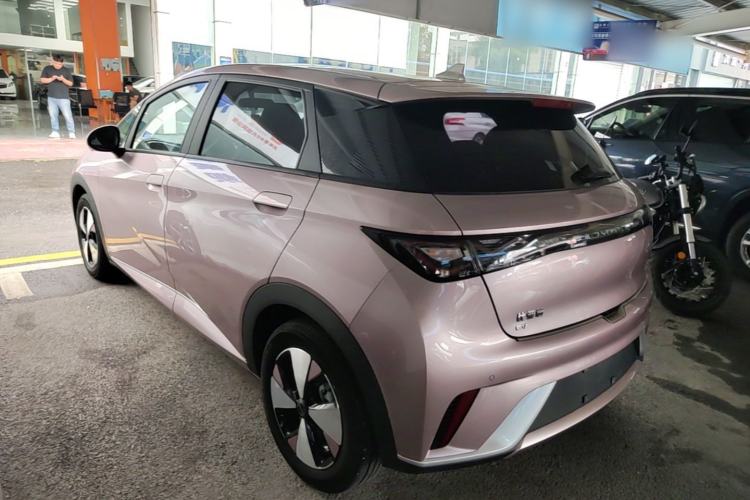 Used BYD Dolphin 2023 420 km Free Version Rear Left 45 Deg