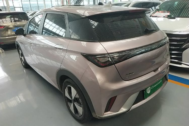Used BYD Dolphin 2023 420 km Free Version Rear Left 45 Deg