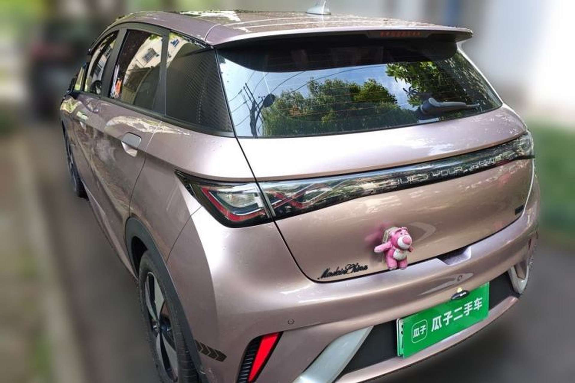 Used BYD Dolphin 2023 420 km Fashion Edition Rear Left 45 Deg