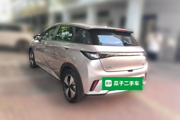 Used BYD Dolphin 2023 420 km Free Version Rear Left 45 Deg