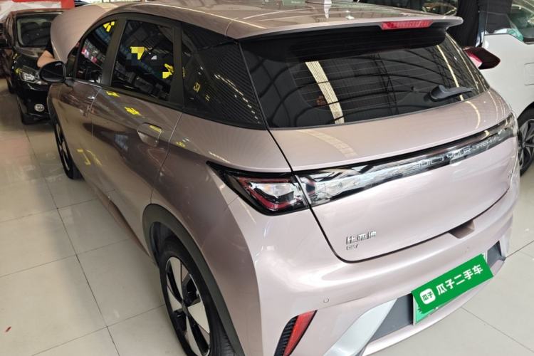 Used BYD Dolphin 2023 420 km Free Version Rear Left 45 Deg
