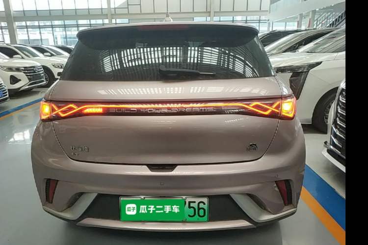 Used BYD Dolphin 2023 420 km Free Version Rear