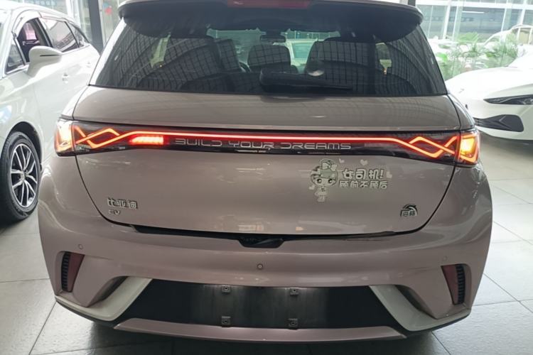 Used BYD Dolphin 2023 420 km Fashion Edition Rear