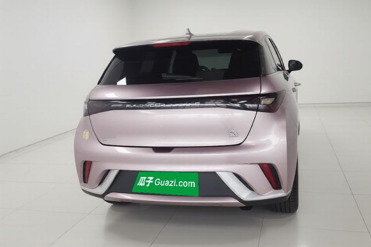 Used BYD Dolphin 2023 420 km Free Version Rear