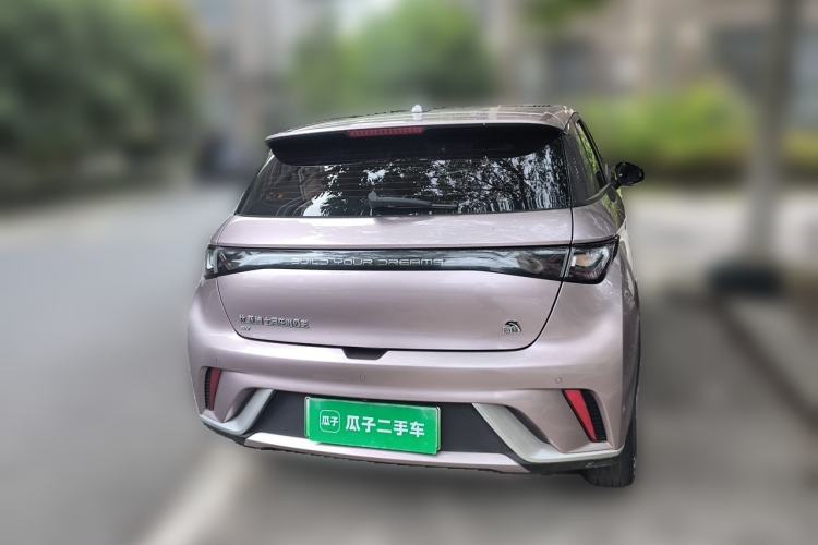 Used BYD Dolphin 2023 420 km Fashion Edition Rear