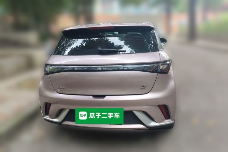 Used BYD Dolphin 2023 420 km Fashion Edition Rear