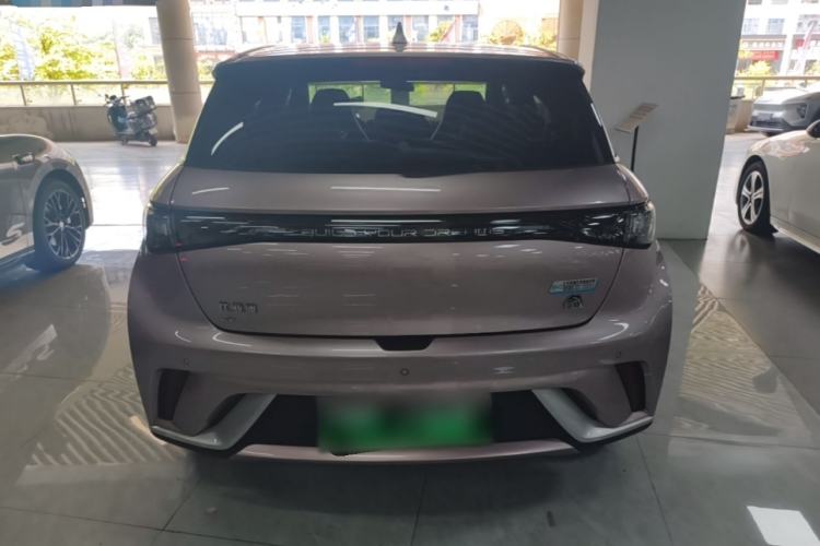 Used BYD Dolphin 2023 420 km Fashion Edition Rear