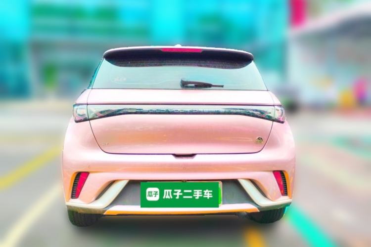 Used BYD Dolphin 2023 420 km Free Version Rear