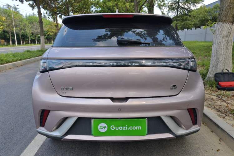 Used BYD Dolphin 2023 420 km Fashion Edition Rear