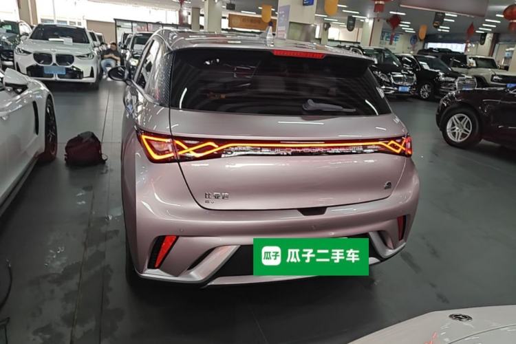 Used BYD Dolphin 2023 420 km Fashion Edition Rear