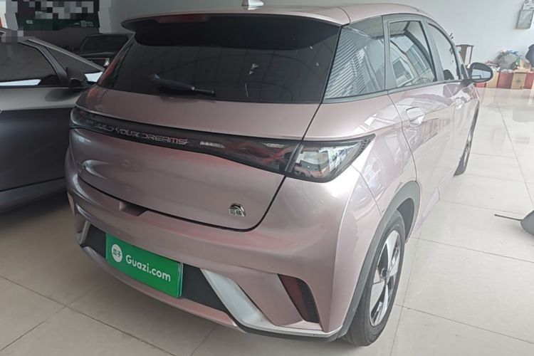 Used BYD Dolphin 2023 420 km Fashion Edition Rear Right 45 Deg