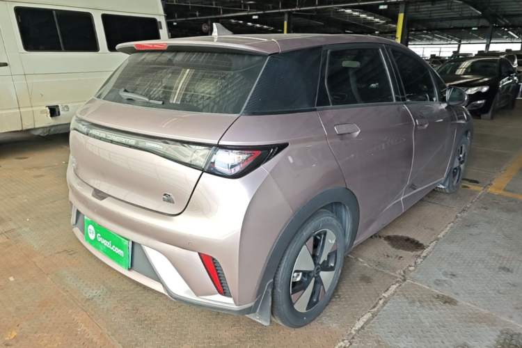 Used BYD Dolphin 2023 420 km Fashion Edition Rear Right 45 Deg