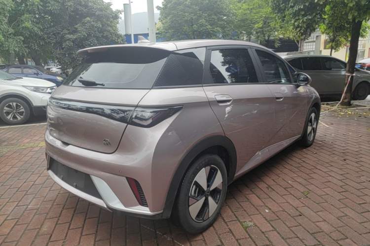 Used BYD Dolphin 2023 420 km Free Version Rear Right 45 Deg