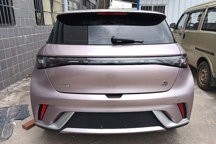Used BYD Dolphin 2023 420 km Fashion Edition Rear