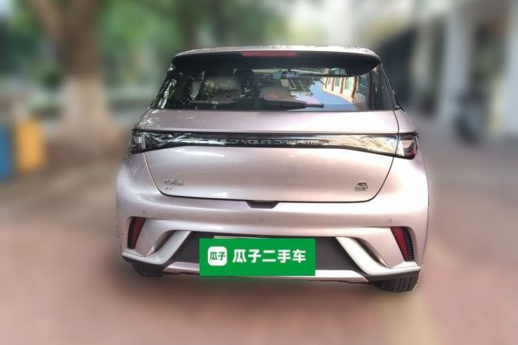Used BYD Dolphin 2023 420 km Free Version Rear