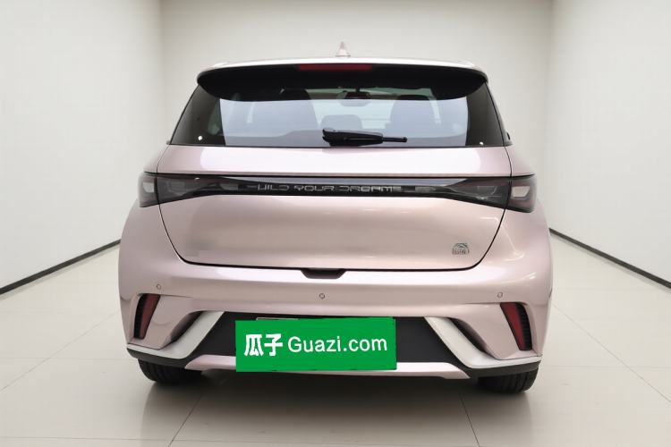 Used BYD Dolphin 2023 420 km Free Version Rear