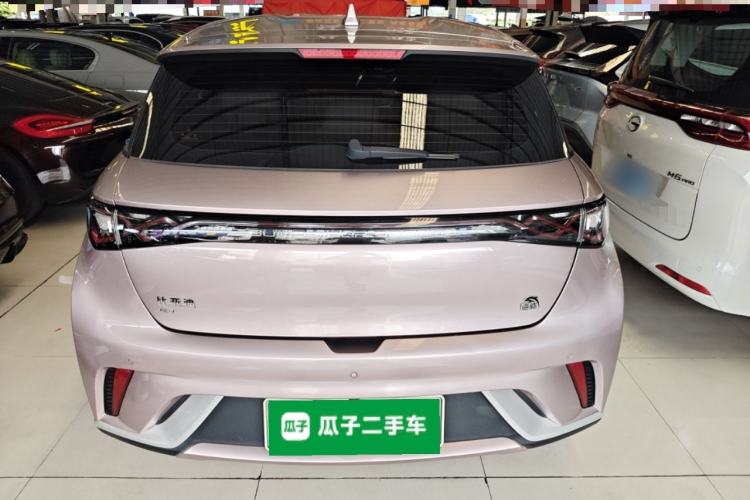 Used BYD Dolphin 2023 420 km Free Version Rear