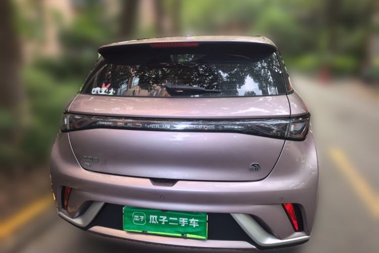 Used BYD Dolphin 2023 420 km Fashion Edition Rear