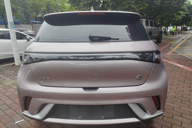 Used BYD Dolphin 2023 420 km Free Version Rear
