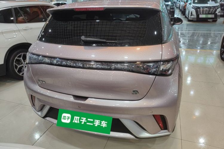 Used BYD Dolphin 2023 420 km Fashion Edition Rear