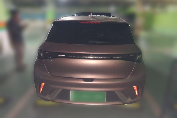 Used BYD Dolphin 2023 420 km Fashion Edition Rear